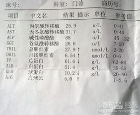 直接胆红素偏高说明什么:直接胆红素偏高说明什么?原因、影响与应对措施全解析 直接胆红素偏高说明什么:直接胆红素偏高说明什么?原因、影响与应对措施全解析