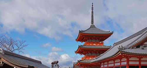 周口求姻缘的寺庙有哪些：周口这些寺庙求姻缘灵验吗？传统信仰中的爱情寄托