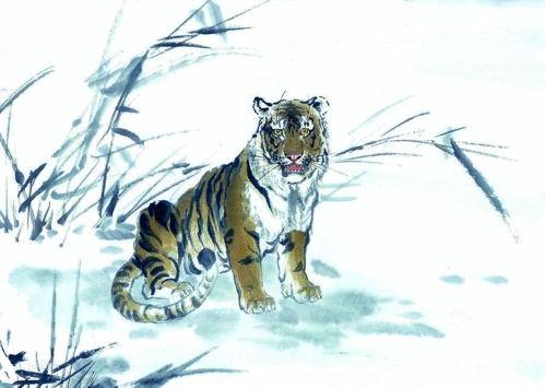 74年属虎人躲不过去的大难：74年属虎人劫数临门，三重天灾人祸暗藏玄机，化解需借三才之力