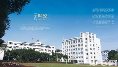 四川理工技师学院是大专吗（四川理工技师学院好不好 知乎）