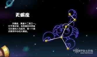 天蝎座女生性格特点配什么星座好:天蝎座女生最佳匹配星座,灵魂契合度TOP5及相处秘籍 天蝎座女生性格特点配什么星座好:天蝎座女生最佳匹配星座,灵魂契合度TOP5及相处秘籍