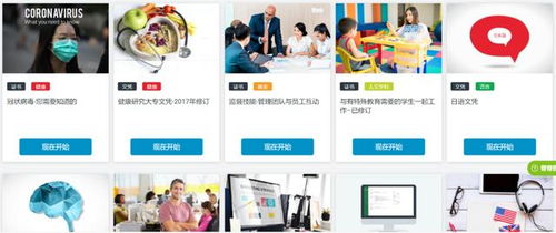 大学课程免费自学网站（大学自学网网站）