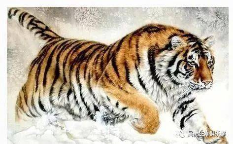 1974年属虎的婚姻配对：1974年属虎人婚姻配对指南，生肖相合与情感经营之道