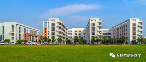 河南单招稳进的大专（河南单招稳进的大专医学院有哪些）