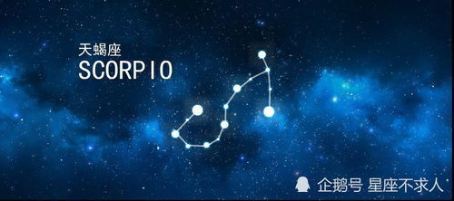 天蝎座今日第一星座网：天蝎座今日运势揭秘，第一星座网为你带来幸运指引！