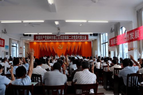 老鼠塔罗牌：塔罗牌中的神秘生物，老鼠的隐藏象征