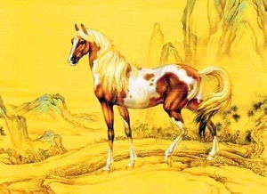 属马11月19日姻缘：属马人11月19日姻缘运势揭秘，桃花运旺盛，感情机会不容错过！