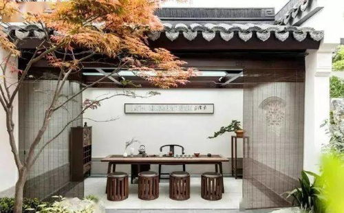 桂枝:桂枝,从庭院香木到中医宝库的千年旅程 桂枝:桂枝,从庭院香木到中医宝库的千年旅程