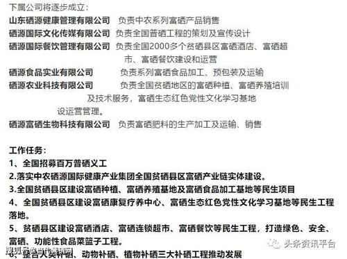 环球印务:《内部审计制度》(2025年10月) 环球印务:《内部审计制度》(2025年10月)