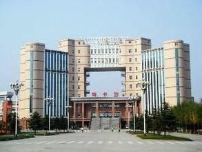 12星座的手链:12星座专属手链,用星辰能量解锁你的运势密码