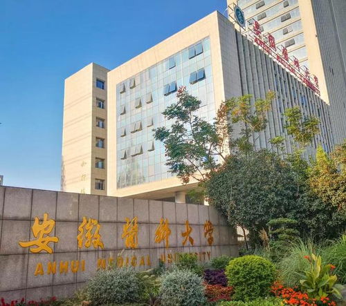 安徽医科大学研究生院(安徽医科大学研究生院护理学院) 安徽医科大学研究生院(安徽医科大学研究生院护理学院)