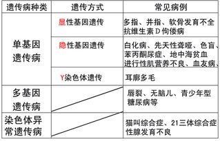 免费算生死最准测算:免费算生死最准测算,科学视角下的命理智慧与人生启示 免费算生死最准测算:免费算生死最准测算,科学视角下的命理智慧与人生启示