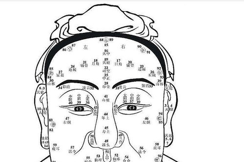 面相算命图解大全:面相算命图解大全,从五官到骨骼的精准预测,解锁你的命理密码 面相算命图解大全:面相算命图解大全,从五官到骨骼的精准预测,解锁你的命理密码