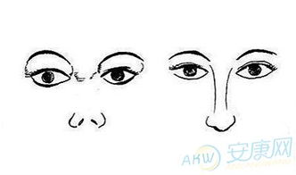 面相算命图解大全:面相算命图解大全,从五官到骨骼的精准预测,解锁你的命理密码 面相算命图解大全:面相算命图解大全,从五官到骨骼的精准预测,解锁你的命理密码