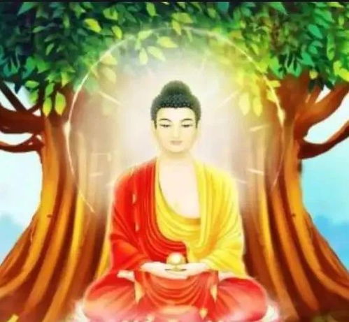 94年属狗人一生三大劫：94年属狗人一生需警惕的三大劫难时期及化解指南