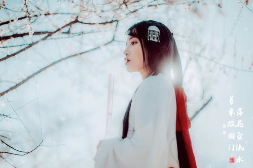 双子女最佳丈夫星座：双子女的黄金婚姻搭档，哪三个星座能让她们遇见灵魂共振的伴侣？