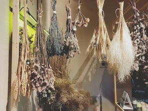 梦见汽车着火又扑灭:解密梦境,梦见汽车着火又扑灭,你的潜意识在暗示什么? 梦见汽车着火又扑灭:解密梦境,梦见汽车着火又扑灭,你的潜意识在暗示什么?