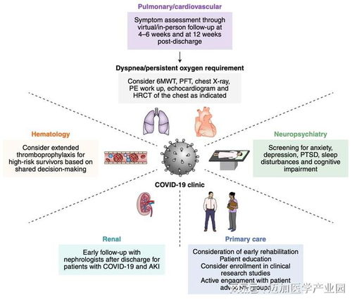 新冠后遗症最新消息:新冠后遗症新进展,最新研究与应对指南 新冠后遗症最新消息:新冠后遗症新进展,最新研究与应对指南