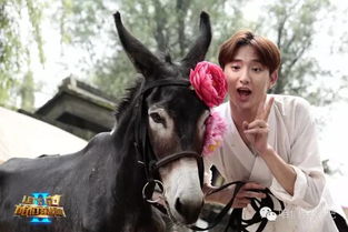 女马90男蛇88的姻缘:女马90遇上男蛇88,一场跨越代际的姻缘,能否相守到老?