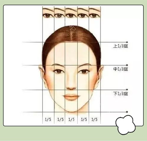 扫脸测星座免费:扫脸测星座免费,你的脸真的能读出星座性格吗?