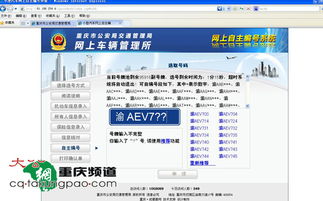 挑号网选号官网:如何高效选号?挑号网选号官网全攻略,智能算法+个性化推荐指南 挑号网选号官网:如何高效选号?挑号网选号官网全攻略,智能算法+个性化推荐指南