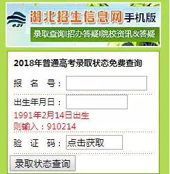 录取查询官网(录取查询官网河北省) 录取查询官网(录取查询官网河北省)
