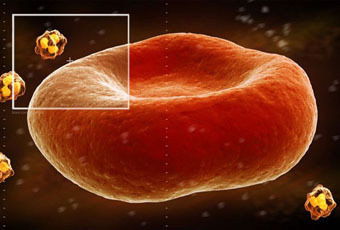 o型血为什么叫熊猫血:O型血为何被称为熊猫血?揭秘稀有血型背后的自然法则与人文关怀 o型血为什么叫熊猫血:O型血为何被称为熊猫血?揭秘稀有血型背后的自然法则与人文关怀