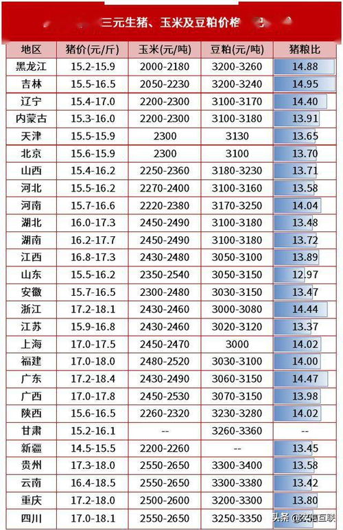 2013年日历全年:2013年日历全年,时间刻度下的时代印记 2013年日历全年:2013年日历全年,时间刻度下的时代印记