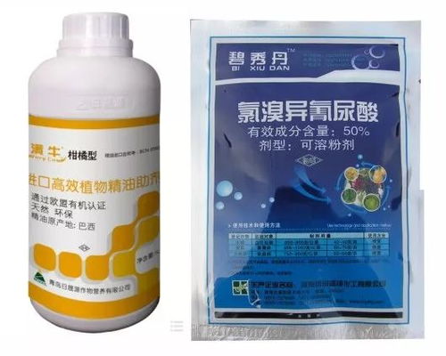 双克是什么药：双克是什么药？用途、成分与注意事项全解析