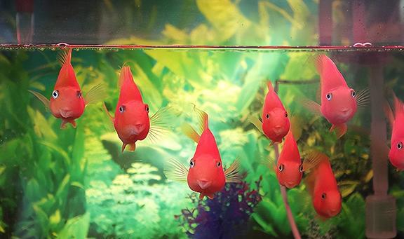 梦见下雨财运好不好:梦见下雨财运好不好?解密梦境中的雨与财富密码 梦见下雨财运好不好:梦见下雨财运好不好?解密梦境中的雨与财富密码