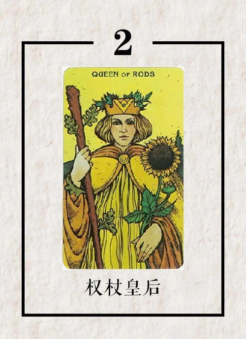 静安塔罗牌:静心启明,静安塔罗牌—探索命运的神秘之门 静安塔罗牌:静心启明,静安塔罗牌—探索命运的神秘之门