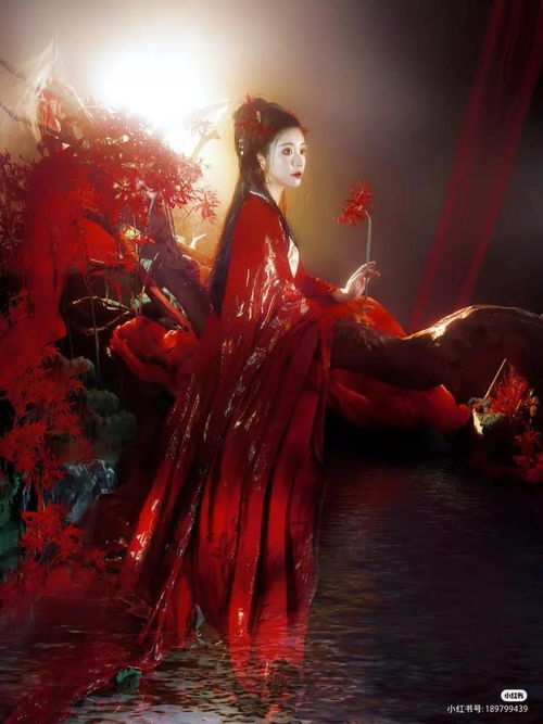 注定和双子纠缠的星座:星海迷途指南,与双子座灵魂共振的五大宿命星座 注定和双子纠缠的星座:星海迷途指南,与双子座灵魂共振的五大宿命星座