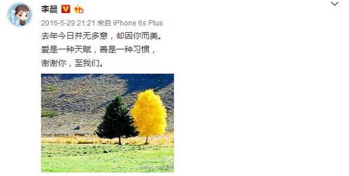 生日书查询：生日书查询，解锁你的专属人生密码—从星盘到性格的深度解读指南