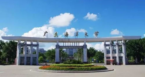 广东东软学院(广东东软学院邮政编码)