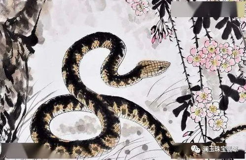 已婚女人梦到蛇是吉兆:蛇入梦来福运至,已婚女性解梦中的祥瑞密码与心灵启示 已婚女人梦到蛇是吉兆:蛇入梦来福运至,已婚女性解梦中的祥瑞密码与心灵启示