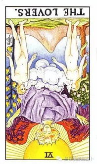 塔罗牌therose:塔罗牌中的玫瑰,神秘与启示的交织