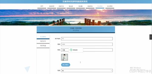 数据库登录界面怎么做:数据库登录界面的设计与实现,从用户体验到安全性的全面指南