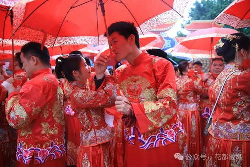 2024男鸡女虎结婚吉日:2024年男鸡女虎最佳婚期,传统婚俗与择吉日指南 2024男鸡女虎结婚吉日:2024年男鸡女虎最佳婚期,传统婚俗与择吉日指南