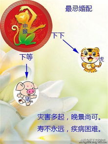 十二生肖婚配禁忌口诀:十二生肖婚配禁忌口诀,传统智慧与科学婚恋观的碰撞与融合 十二生肖婚配禁忌口诀:十二生肖婚配禁忌口诀,传统智慧与科学婚恋观的碰撞与融合