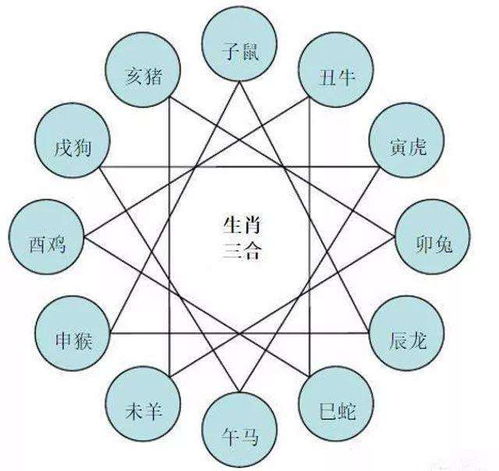 十二生肖婚配禁忌口诀:十二生肖婚配禁忌口诀,传统智慧与科学婚恋观的碰撞与融合 十二生肖婚配禁忌口诀:十二生肖婚配禁忌口诀,传统智慧与科学婚恋观的碰撞与融合