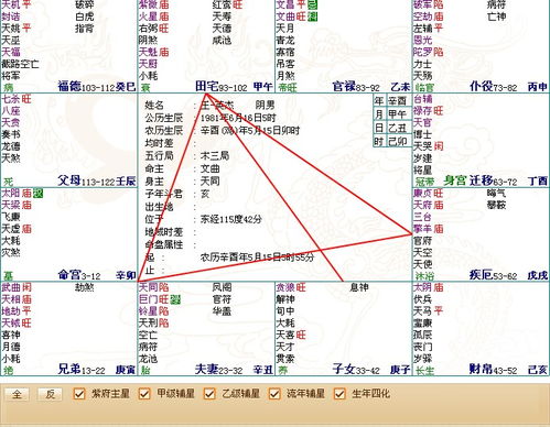 免费查个人紫薇星盘:免费查询个人紫薇星盘,简易步骤与注意事项全解析 免费查个人紫薇星盘:免费查询个人紫薇星盘,简易步骤与注意事项全解析