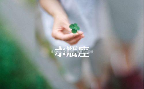 水瓶男开始走心的表现:当水瓶男的理性外壳裂开缝隙,7个细节暴露他真正动心的瞬间 水瓶男开始走心的表现:当水瓶男的理性外壳裂开缝隙,7个细节暴露他真正动心的瞬间
