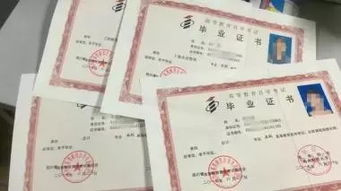 四川师范大学自考官网(四川师范大学自考招生简章) 四川师范大学自考官网(四川师范大学自考招生简章)