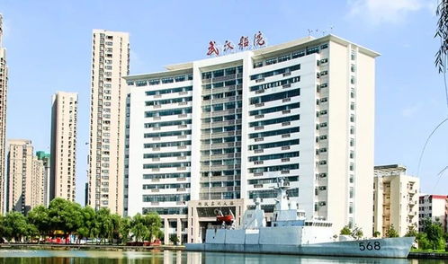 湖北前十名职业学校(湖北省前十的职业技术学院)