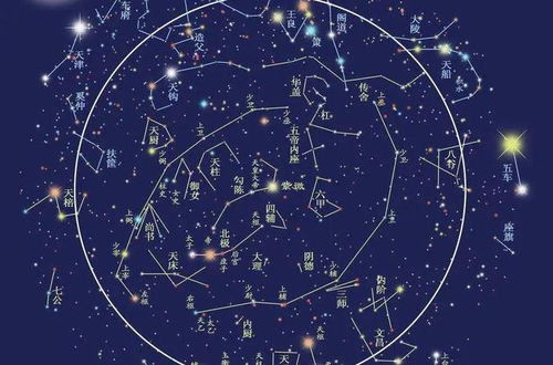 紫微斗数算命准确吗:紫微斗数算命准确吗?科学视角下的玄学文化解析 紫微斗数算命准确吗:紫微斗数算命准确吗?科学视角下的玄学文化解析