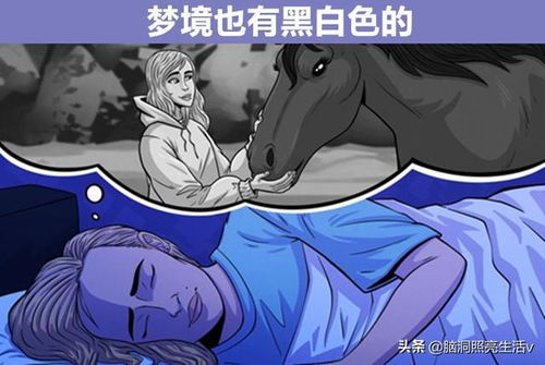 梦见别人拉大便:解密梦见别人拉大便,尴尬梦境背后的秘密 梦见别人拉大便:解密梦见别人拉大便,尴尬梦境背后的秘密