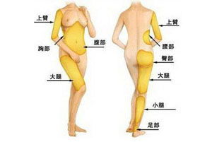 背部18个痛点的准确位置图:背部18个常见痛点的精准定位与缓解指南 背部18个痛点的准确位置图:背部18个常见痛点的精准定位与缓解指南