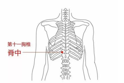 背部18个痛点的准确位置图:背部18个常见痛点的精准定位与缓解指南
