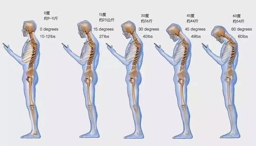 背部18个痛点的准确位置图:背部18个常见痛点的精准定位与缓解指南 背部18个痛点的准确位置图:背部18个常见痛点的精准定位与缓解指南