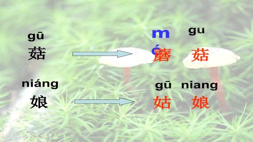 梦见上山采蘑菇是什么意思：梦见上山采蘑菇，你不知道的潜意识密码